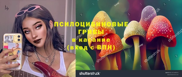 сатива Алзамай