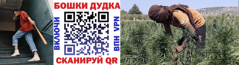 Конопля Ganja  наркота  Любань 